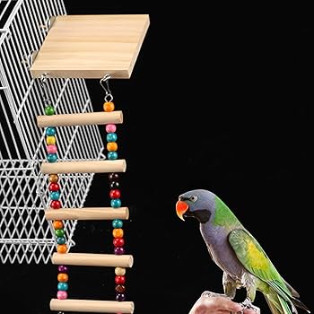 Amazon | 鳥はしご おもちゃ 鳥の木 止まり木 プラットフォーム